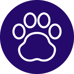 Icono de huella de perro representando productos para mascotas Honduras disponibles en nuestra colección