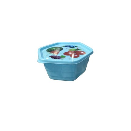 RECIPIENTE C/TAPA HEXA 22.5X19.8X9.2CM M