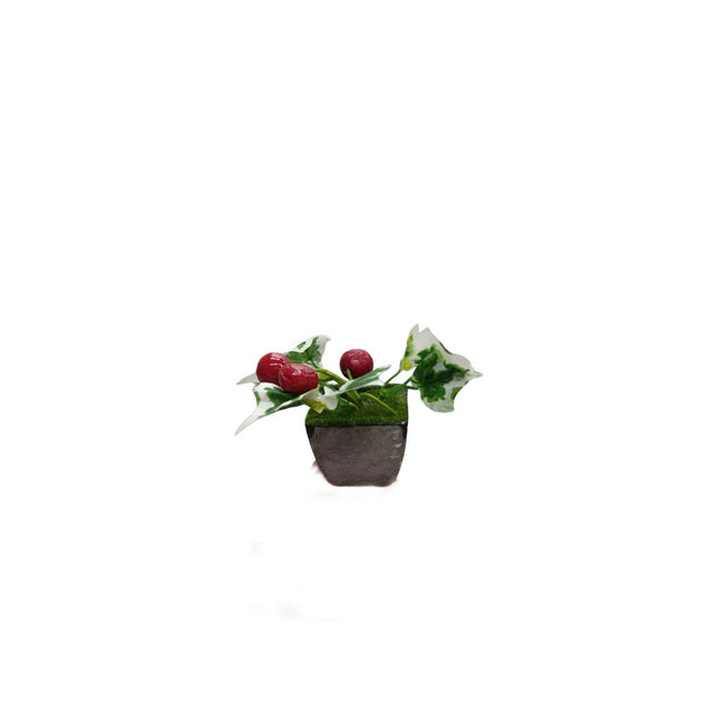 PLANTA PLASTICA