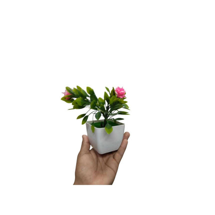 PLANTA PLASTICA