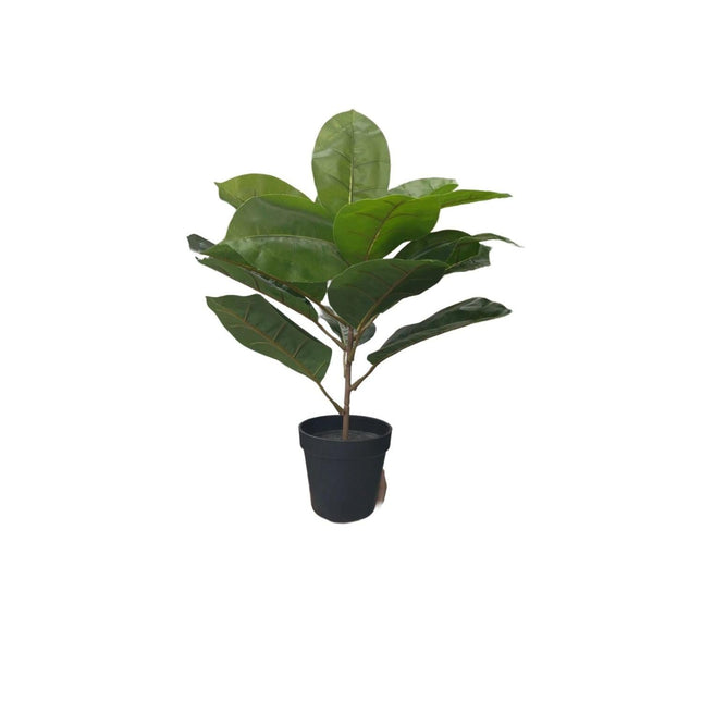 MACETERA C/ PLANTA SURT.